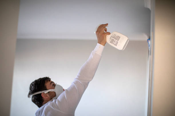 Best Attic Mold Removal  in Johnson City, KS