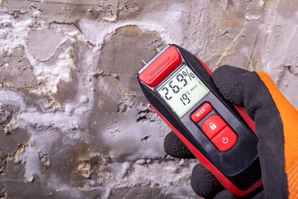 Best Residential Mold Removal  in Johnson City, KS